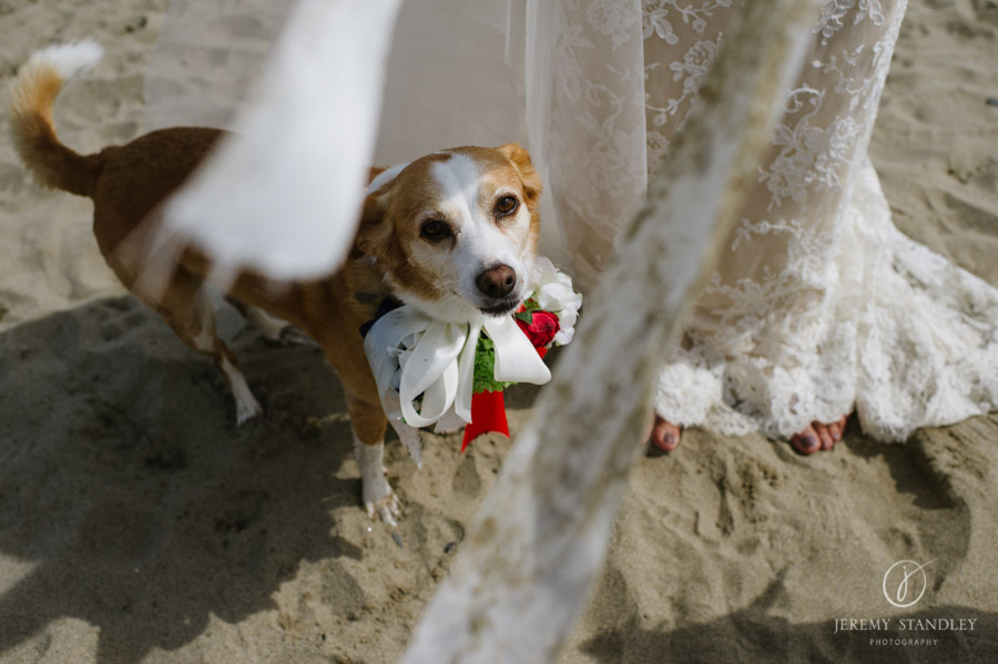 Beach_House_Weddings026